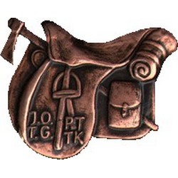 Odznaka turystyki jeździeckiej brązowa