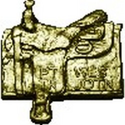 Odznaka turystyki jeździeckiej west nizinna złota