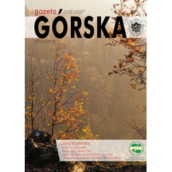 Gazeta Górska 116  e-book