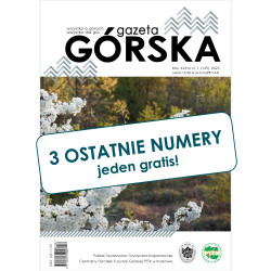TRZY OSTATNIE NUMERY GAZETY...